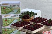 梦见杀蛇高速赋能产业升级：一条“杨梅路”的致富密码
