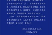 梦见杀蛇重庆一司机因持续鸣笛引发争执 强行驶离致1人死亡4人受伤
